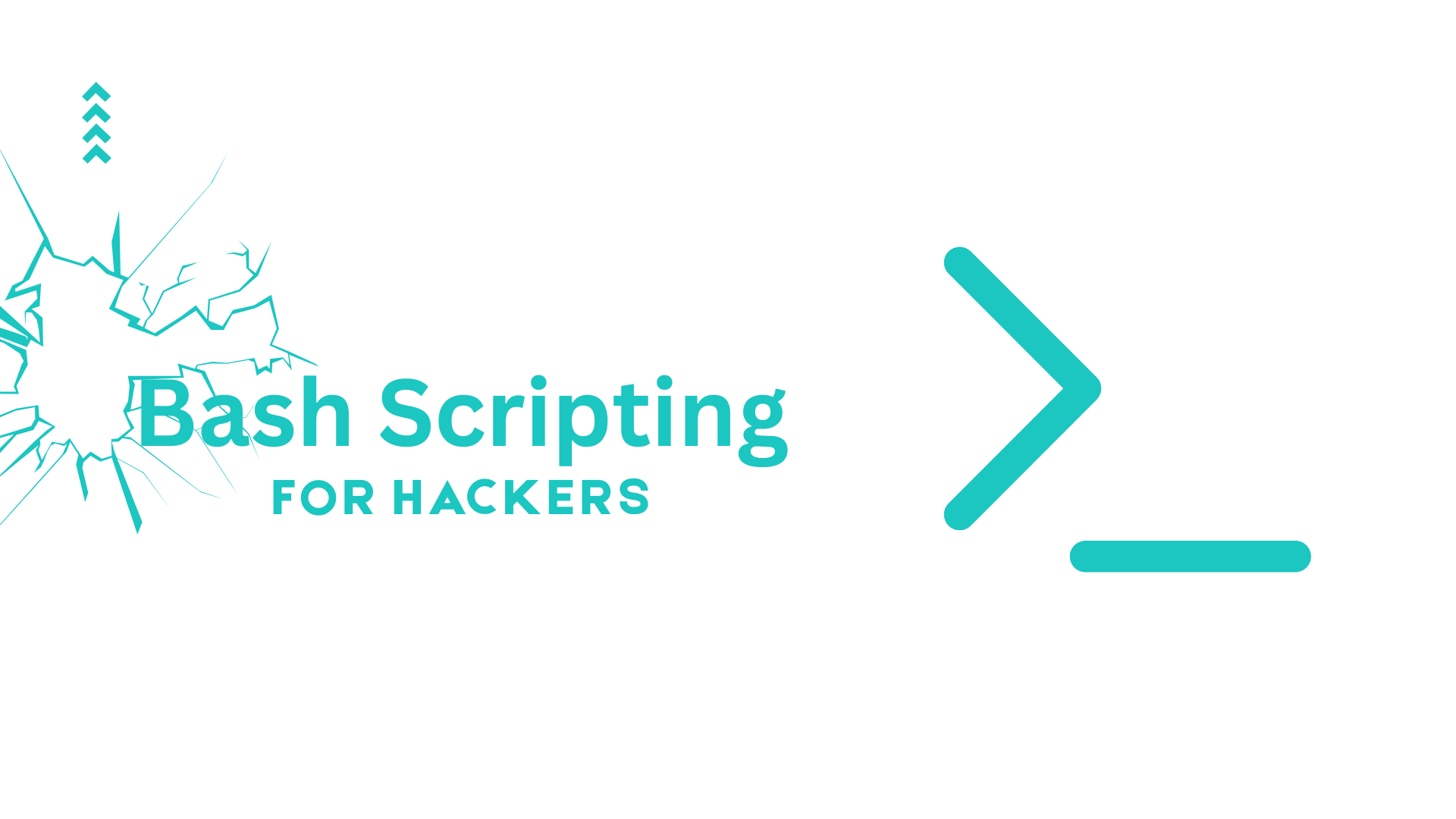 Bash Scripting